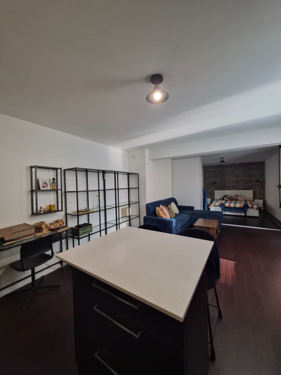 1 bedroom with open-plan kitchen flat to rent, 50 m², Holečkova, Prague, Prague 1 bedroom with open-plan kitchen flat to rent, 50 m², Holečkova, Prague, Prague