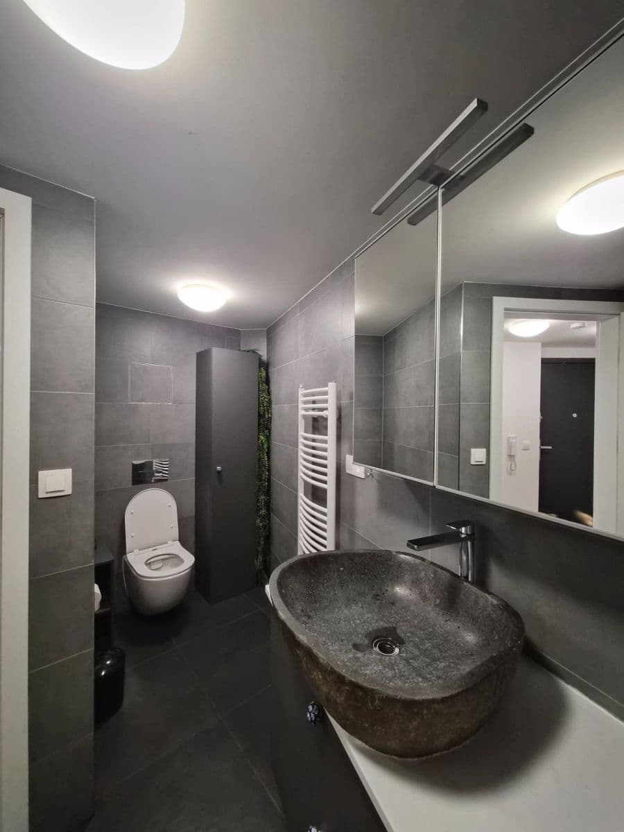 1 bedroom with open-plan kitchen flat to rent, 50 m², Holečkova, Prague, Prague 1 bedroom with open-plan kitchen flat to rent, 50 m², Holečkova, Prague, Prague