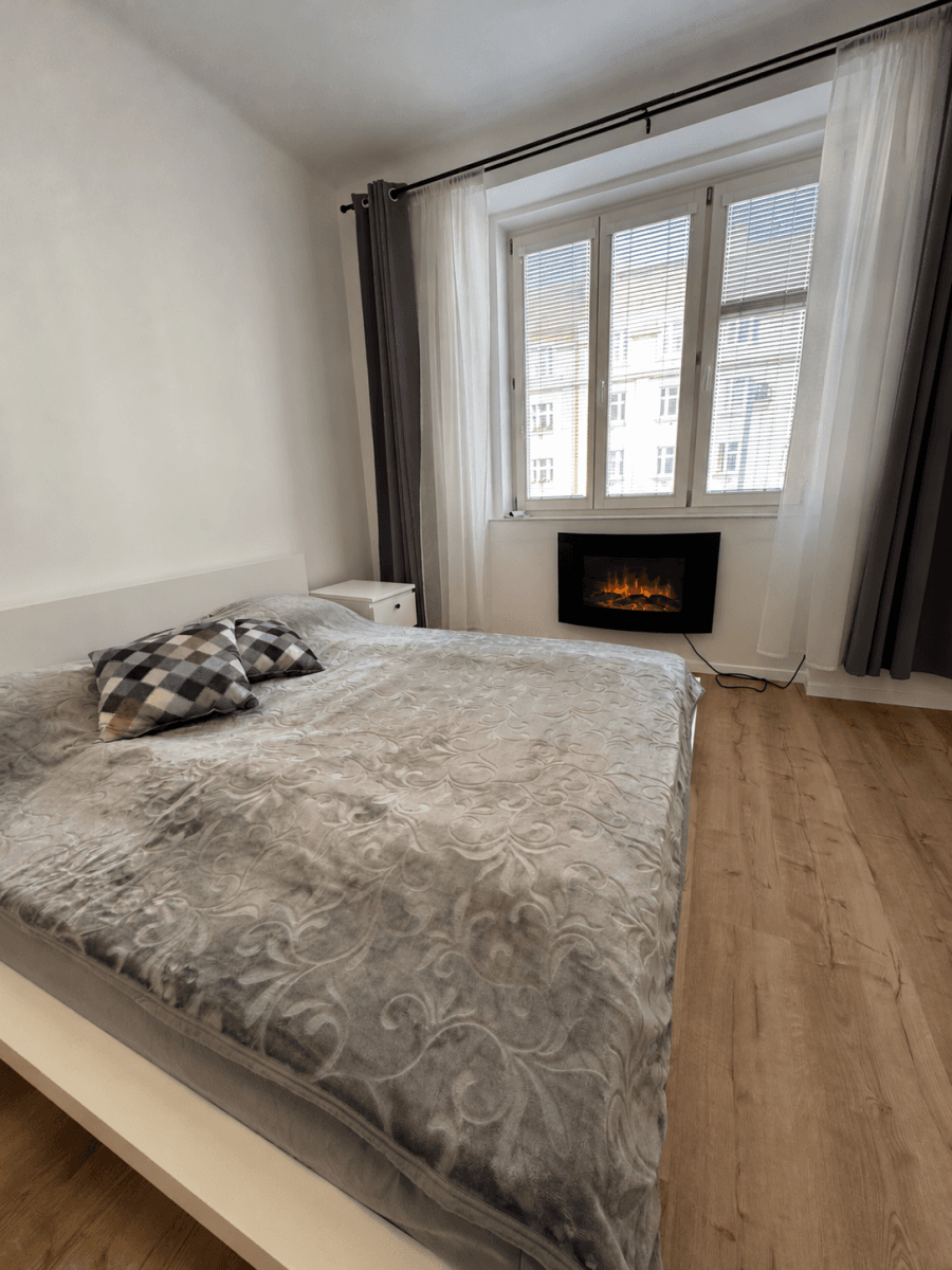 1 bedroom with open-plan kitchen flat to rent, 50 m², Jana Želivského, Prague, Prague 1 bedroom with open-plan kitchen flat to rent, 50 m², Jana Želivského, Prague, Prague
