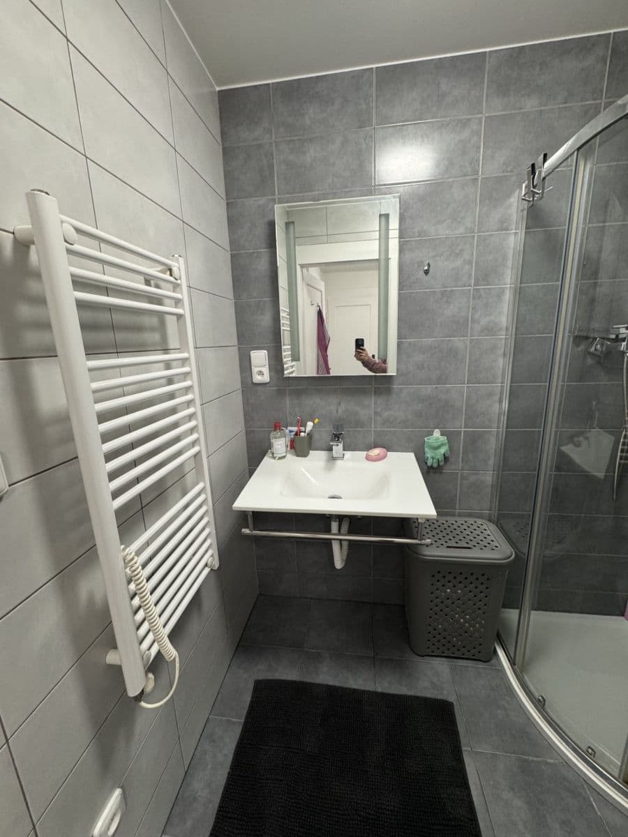 1 bedroom with open-plan kitchen flat to rent, 50 m², Jana Želivského, Prague, Prague 1 bedroom with open-plan kitchen flat to rent, 50 m², Jana Želivského, Prague, Prague