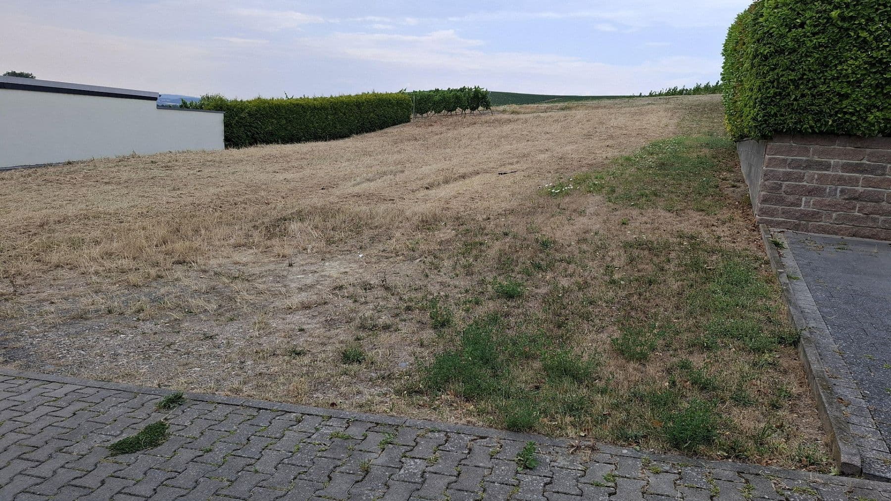 plot for sale, 550 m², Schlimmsweide 31, Welgesheim, Rhineland-Palatinate plot for sale, 550 m², Schlimmsweide 31, Welgesheim, Rhineland-Palatinate
