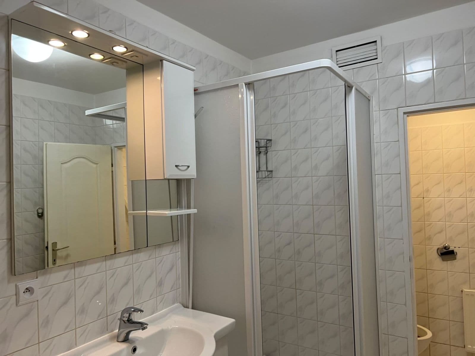 1 bedroom with open-plan kitchen flat to rent, 53 m², U Sadu, Prague, Prague 1 bedroom with open-plan kitchen flat to rent, 53 m², U Sadu, Prague, Prague