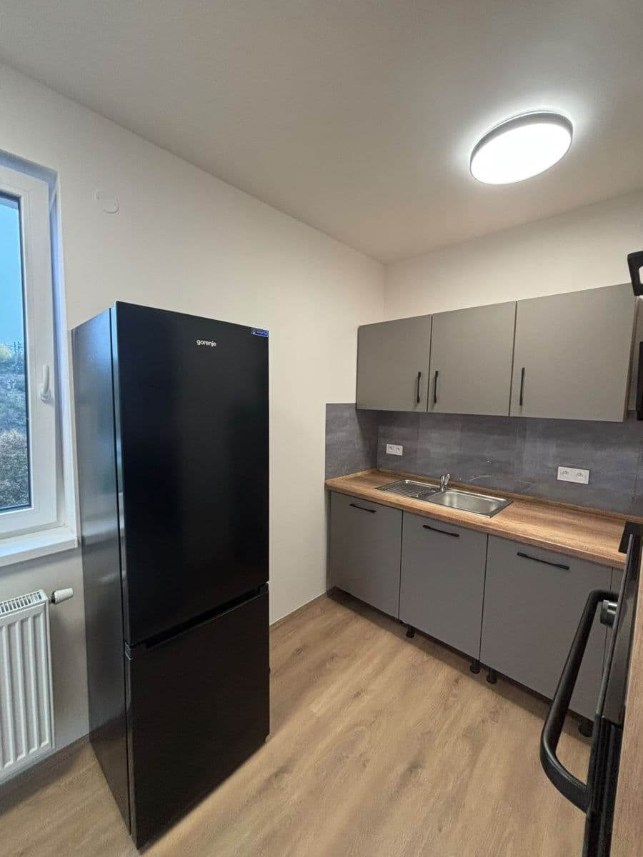 1 bedroom with open-plan kitchen flat to rent, 52 m², Nad Kolčavkou, Prague, Prague 1 bedroom with open-plan kitchen flat to rent, 52 m², Nad Kolčavkou, Prague, Prague