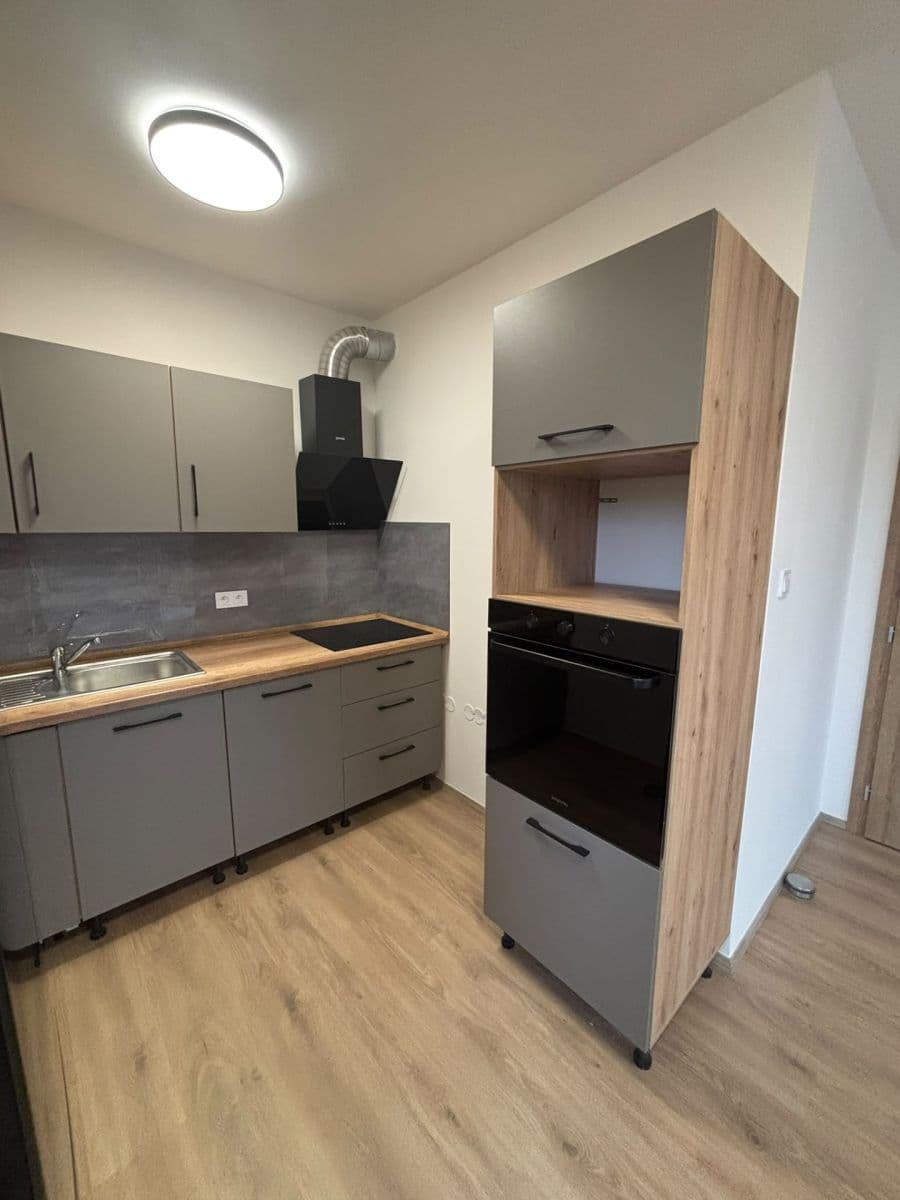 1 bedroom with open-plan kitchen flat to rent, 52 m², Nad Kolčavkou, Prague, Prague 1 bedroom with open-plan kitchen flat to rent, 52 m², Nad Kolčavkou, Prague, Prague