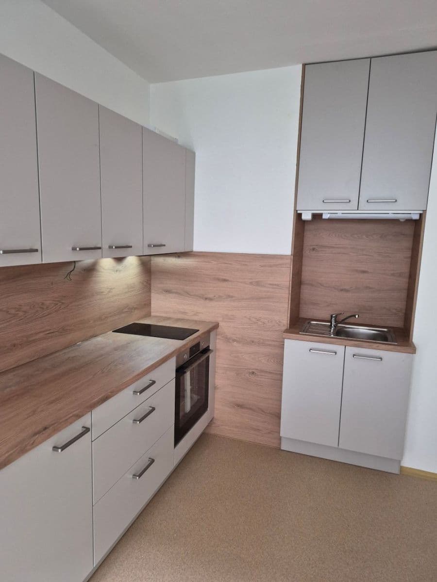 1 bedroom with open-plan kitchen flat to rent, 45 m², Střední, Brno, Jihomoravský Region 1 bedroom with open-plan kitchen flat to rent, 45 m², Střední, Brno, Jihomoravský Region