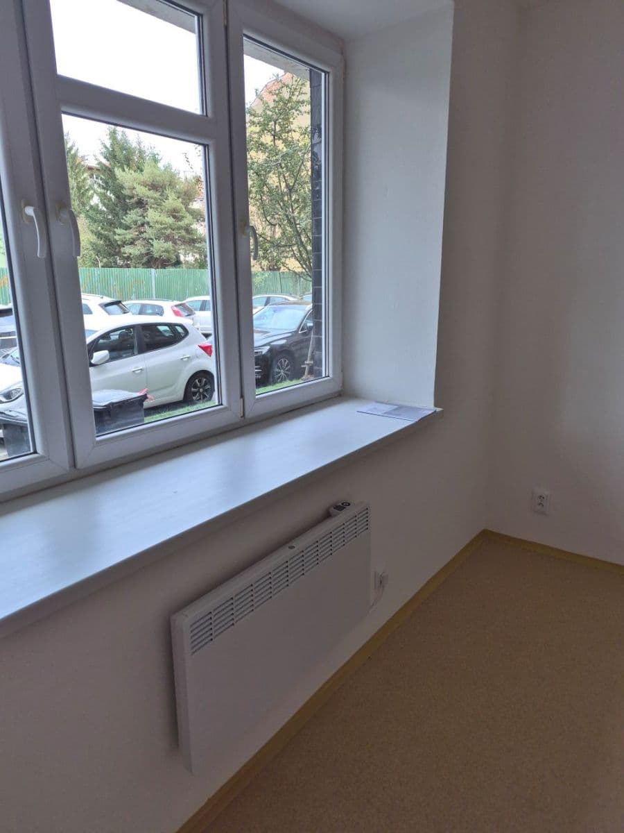 1 bedroom with open-plan kitchen flat to rent, 45 m², Střední, Brno, Jihomoravský Region 1 bedroom with open-plan kitchen flat to rent, 45 m², Střední, Brno, Jihomoravský Region