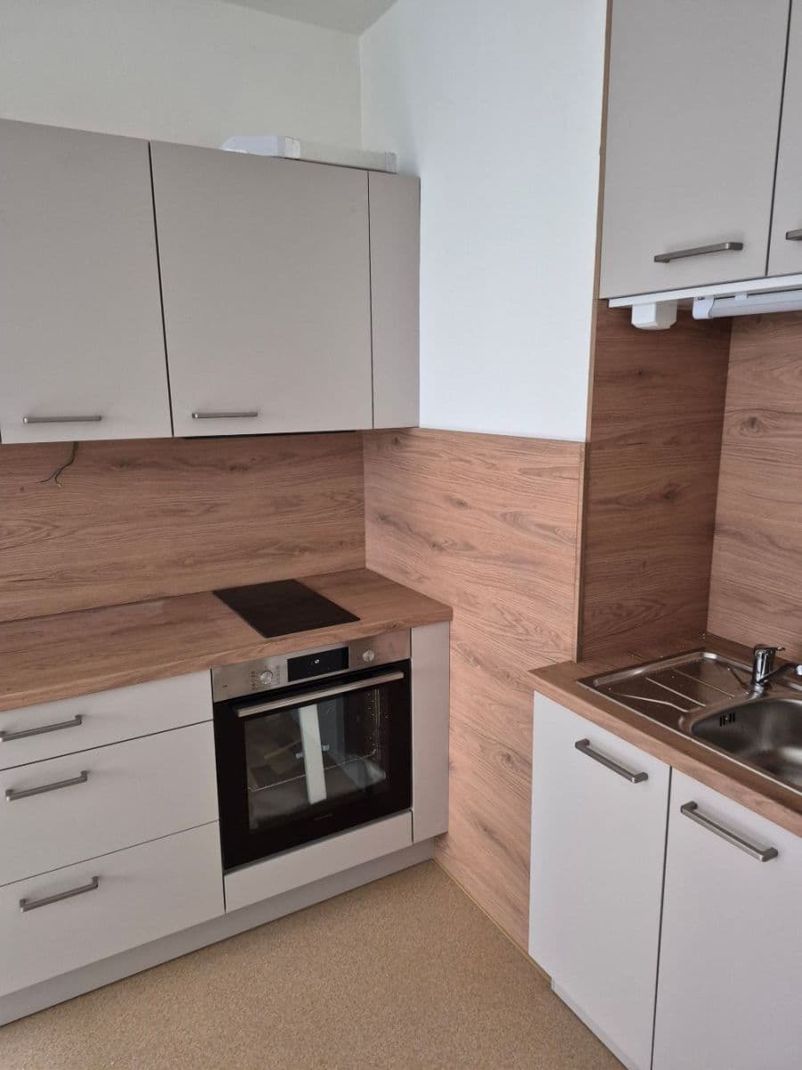 1 bedroom with open-plan kitchen flat to rent, 45 m², Střední, Brno, Jihomoravský Region 1 bedroom with open-plan kitchen flat to rent, 45 m², Střední, Brno, Jihomoravský Region