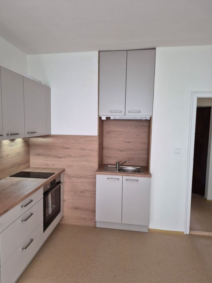 1 bedroom with open-plan kitchen flat to rent, 45 m², Střední, Brno, Jihomoravský Region 1 bedroom with open-plan kitchen flat to rent, 45 m², Střední, Brno, Jihomoravský Region