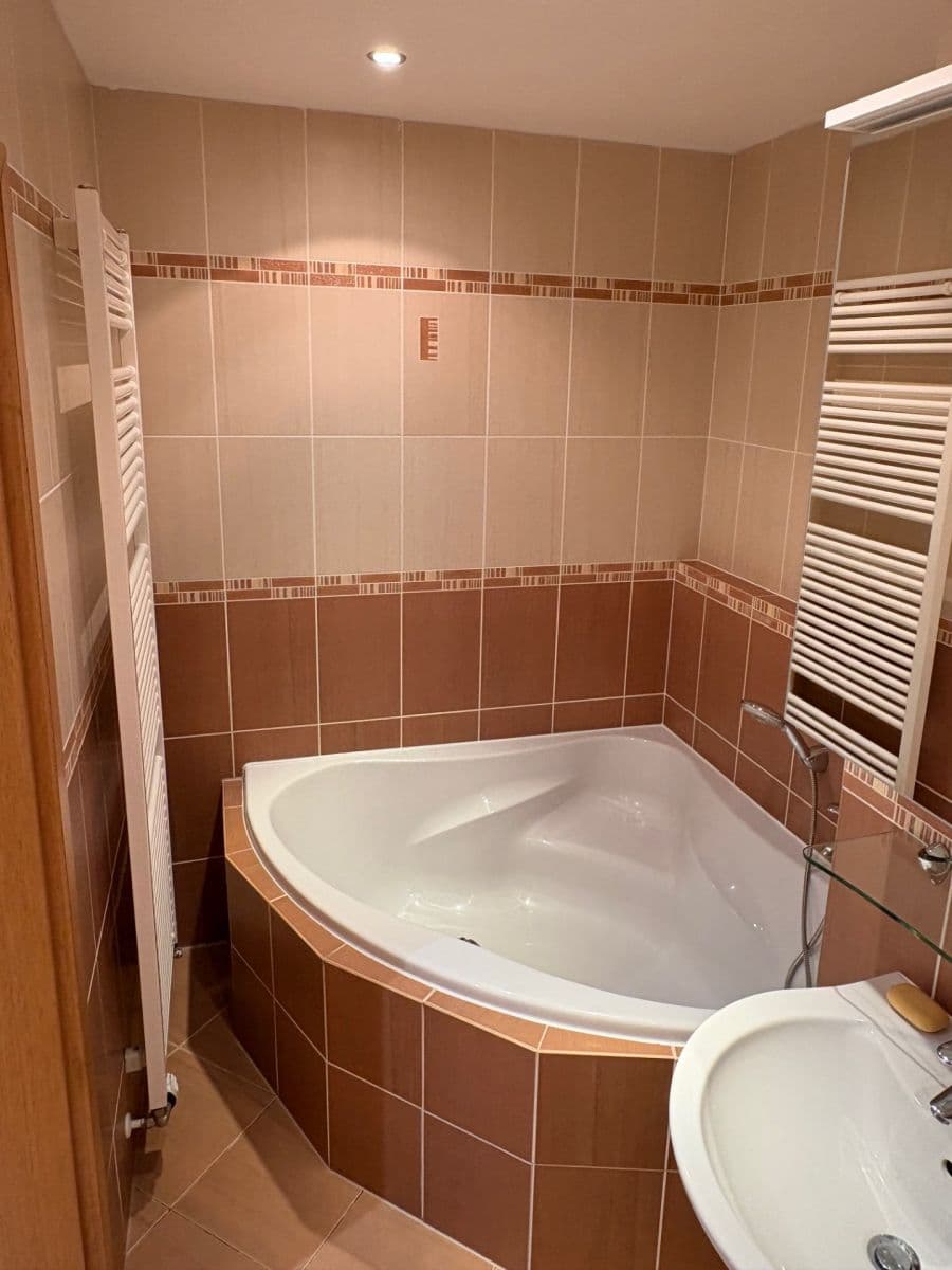 1 bedroom with open-plan kitchen flat to rent, 55 m², Štorkánova, Prague, Prague 1 bedroom with open-plan kitchen flat to rent, 55 m², Štorkánova, Prague, Prague