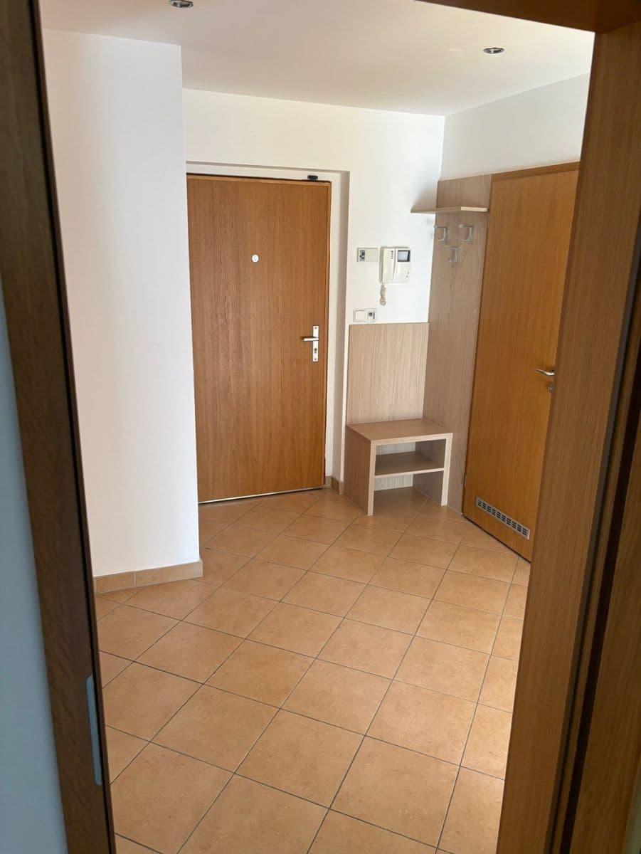 1 bedroom with open-plan kitchen flat to rent, 55 m², Štorkánova, Prague, Prague 1 bedroom with open-plan kitchen flat to rent, 55 m², Štorkánova, Prague, Prague