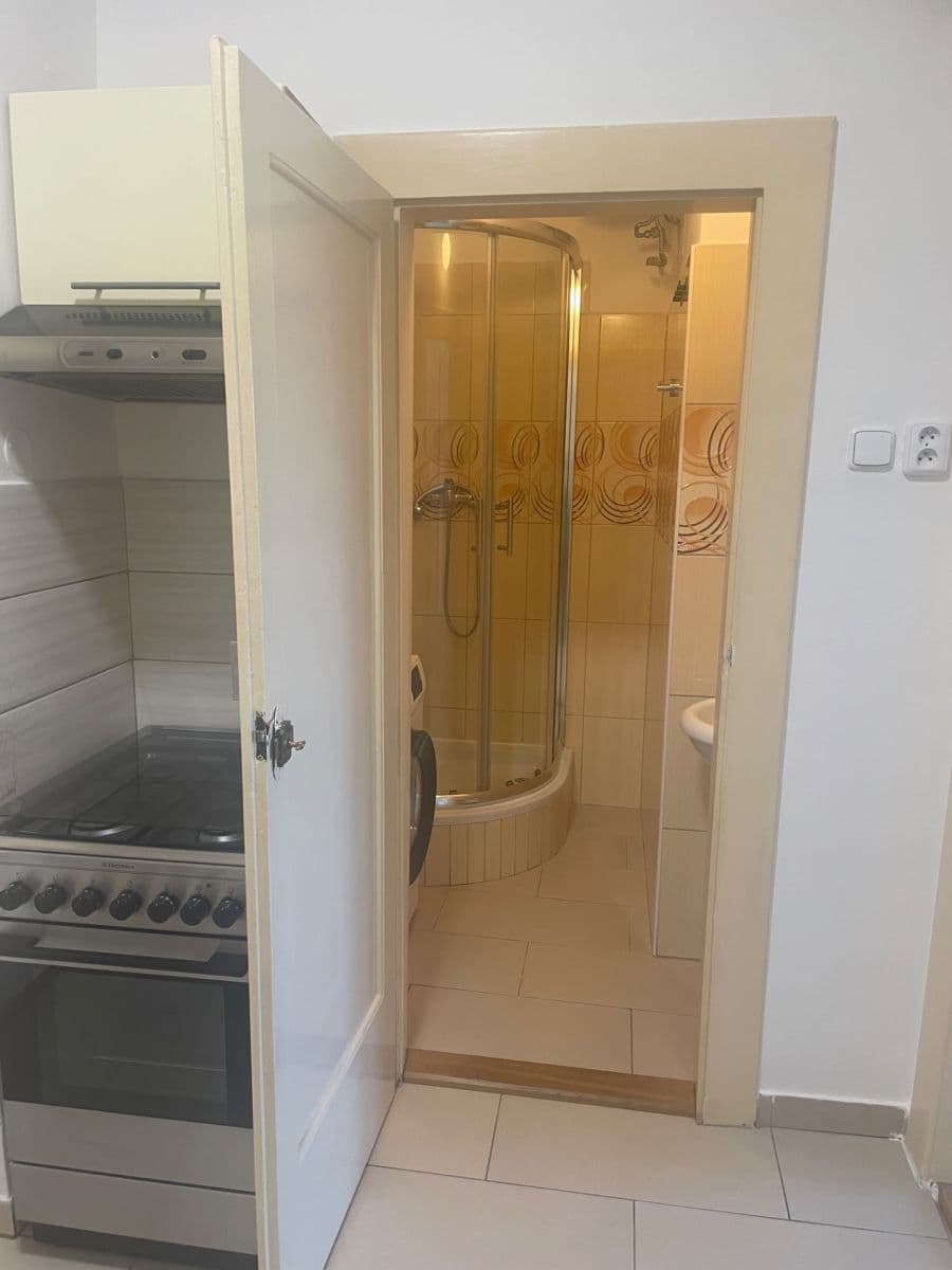 2 bedroom flat to rent, 50 m², 28. pluku, Prague, Prague 2 bedroom flat to rent, 50 m², 28. pluku, Prague, Prague