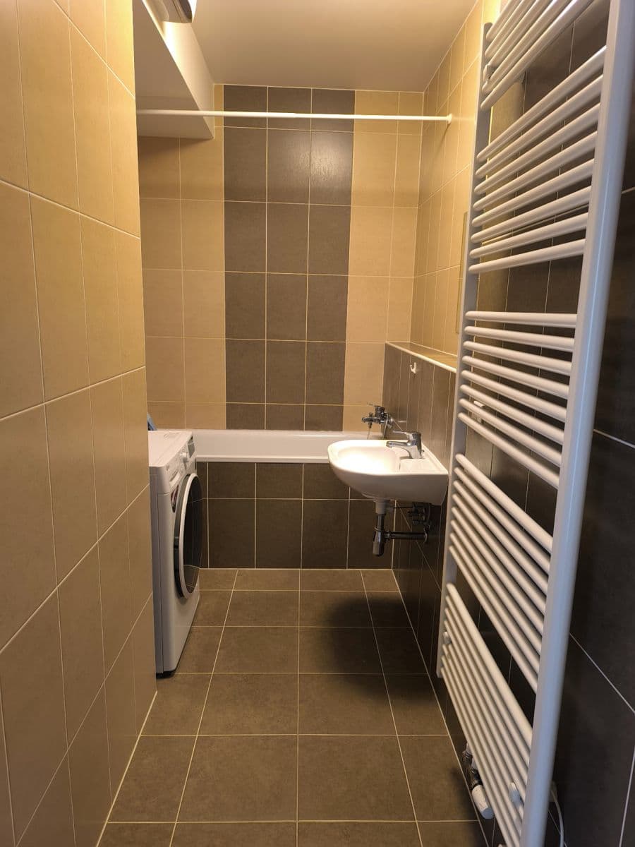 1 bedroom with open-plan kitchen flat for sale, 66 m², Olgy Havlové, Prague, Prague 1 bedroom with open-plan kitchen flat for sale, 66 m², Olgy Havlové, Prague, Prague