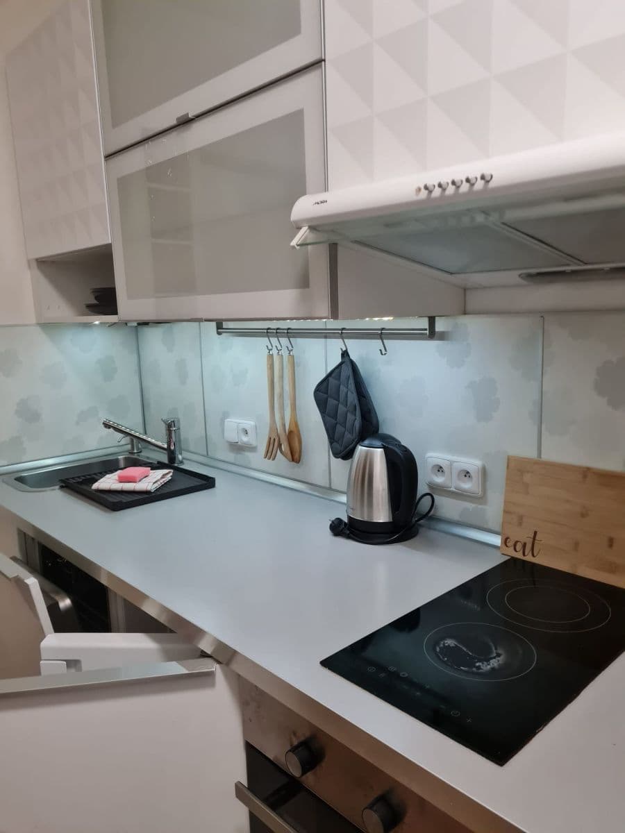 flat to rent, 35 m², Vrchlického, Prague, Prague flat to rent, 35 m², Vrchlického, Prague, Prague