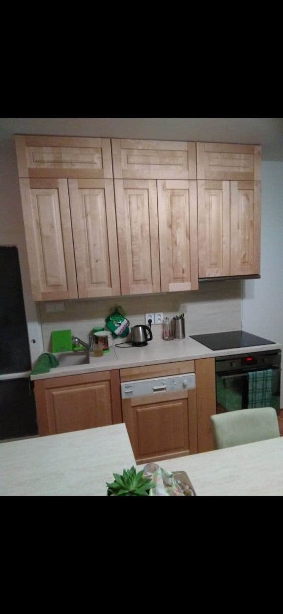 2 bedroom with open-plan kitchen flat for sale, 50 m², Jabloňová, Chrudim, Pardubický Region 2 bedroom with open-plan kitchen flat for sale, 50 m², Jabloňová, Chrudim, Pardubický Region