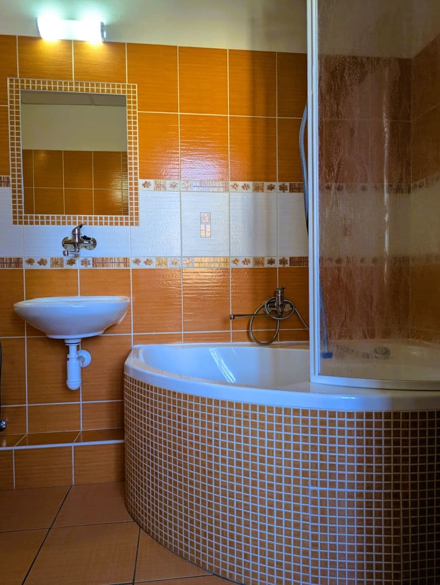 1 bedroom with open-plan kitchen flat to rent, 58 m², Tylova, Plzeň, Plzeňský Region 1 bedroom with open-plan kitchen flat to rent, 58 m², Tylova, Plzeň, Plzeňský Region