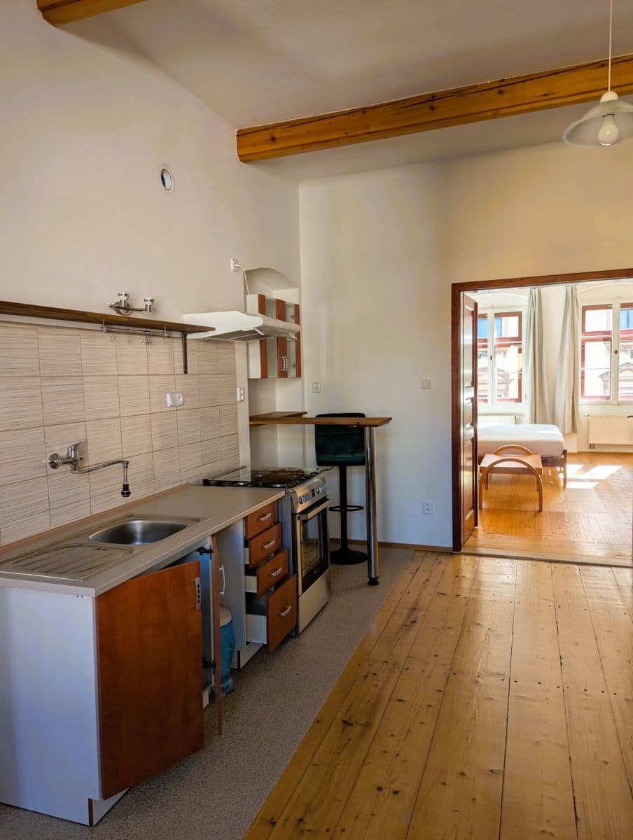1 bedroom with open-plan kitchen flat to rent, 58 m², Tylova, Plzeň, Plzeňský Region 1 bedroom with open-plan kitchen flat to rent, 58 m², Tylova, Plzeň, Plzeňský Region