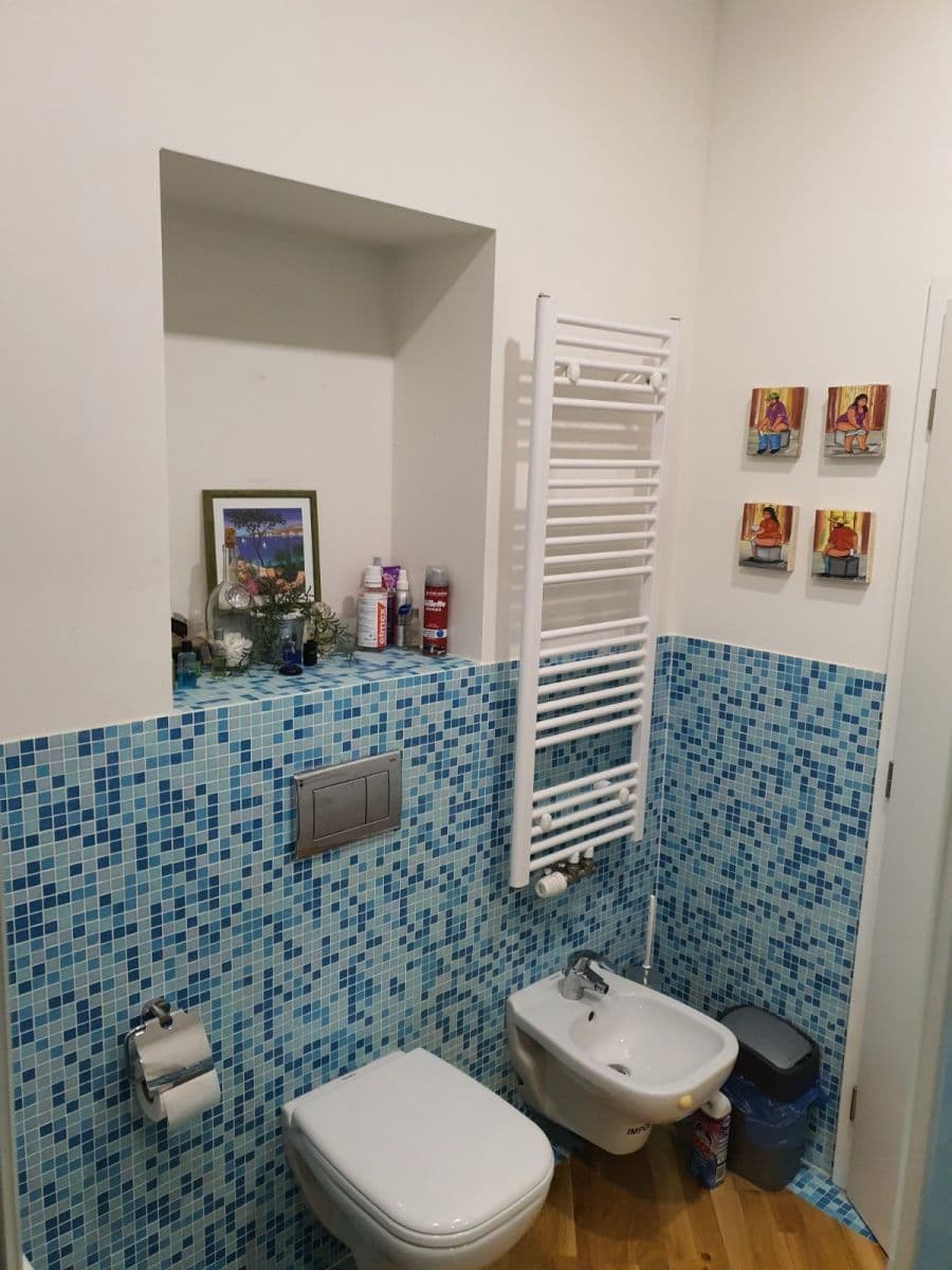 1 bedroom with open-plan kitchen flat to rent, 50 m², Preslova, Prague, Prague 1 bedroom with open-plan kitchen flat to rent, 50 m², Preslova, Prague, Prague