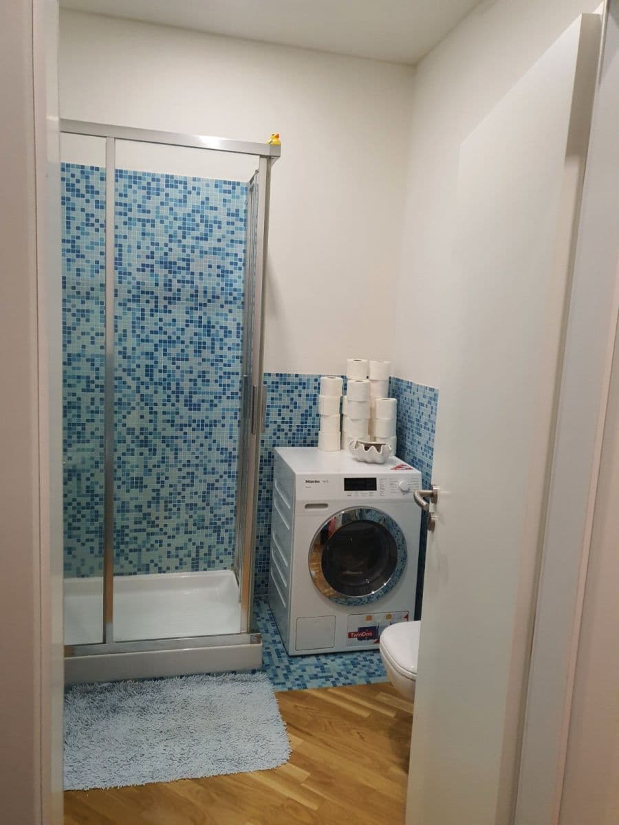 1 bedroom with open-plan kitchen flat to rent, 50 m², Preslova, Prague, Prague 1 bedroom with open-plan kitchen flat to rent, 50 m², Preslova, Prague, Prague