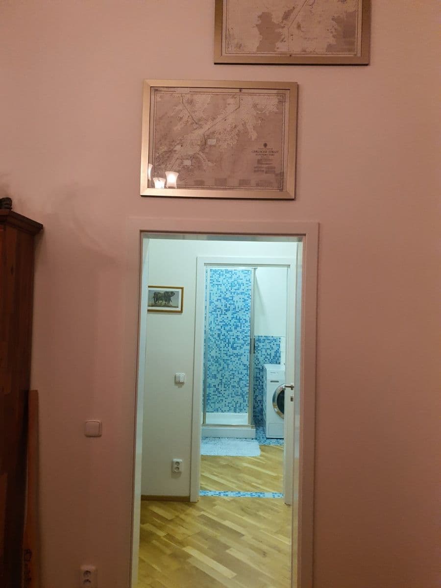 1 bedroom with open-plan kitchen flat to rent, 50 m², Preslova, Prague, Prague 1 bedroom with open-plan kitchen flat to rent, 50 m², Preslova, Prague, Prague