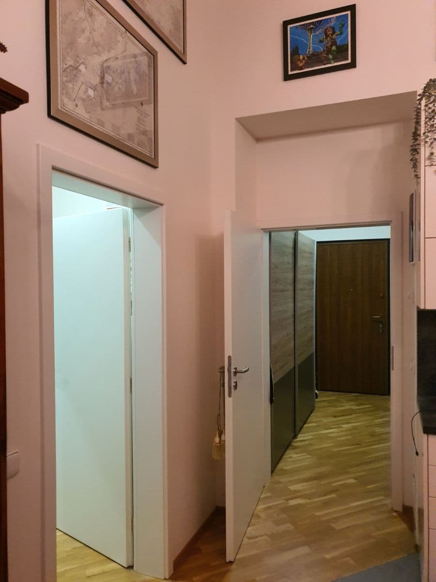 1 bedroom with open-plan kitchen flat to rent, 50 m², Preslova, Prague, Prague 1 bedroom with open-plan kitchen flat to rent, 50 m², Preslova, Prague, Prague