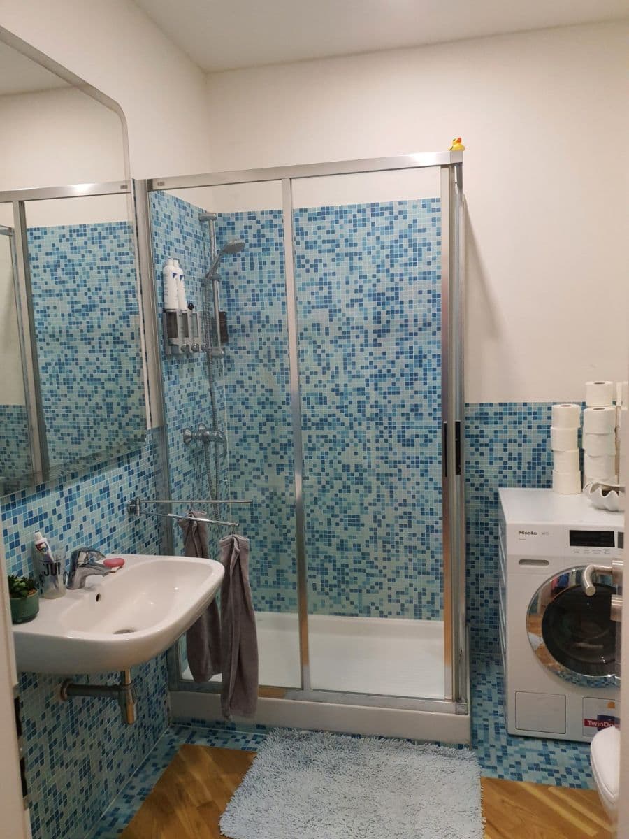 1 bedroom with open-plan kitchen flat to rent, 50 m², Preslova, Prague, Prague 1 bedroom with open-plan kitchen flat to rent, 50 m², Preslova, Prague, Prague