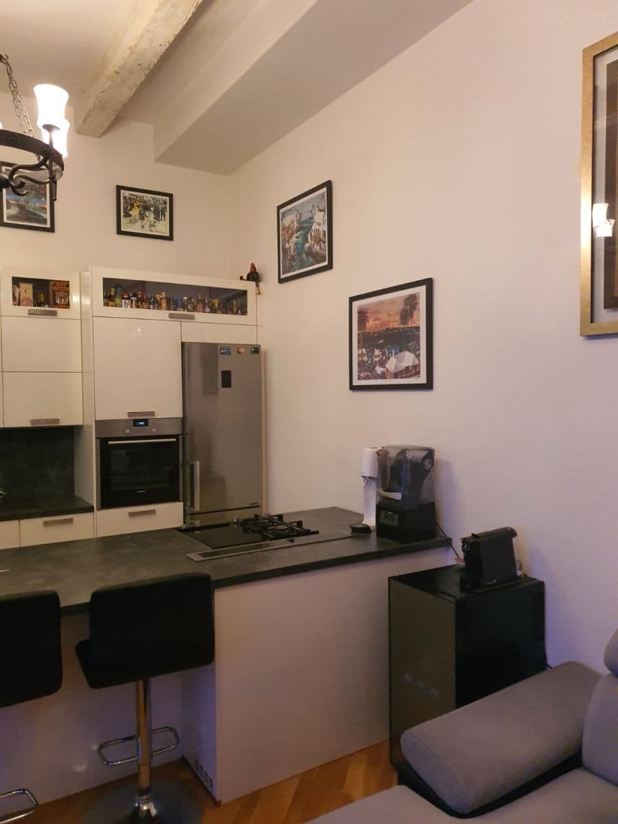 1 bedroom with open-plan kitchen flat to rent, 50 m², Preslova, Prague, Prague 1 bedroom with open-plan kitchen flat to rent, 50 m², Preslova, Prague, Prague