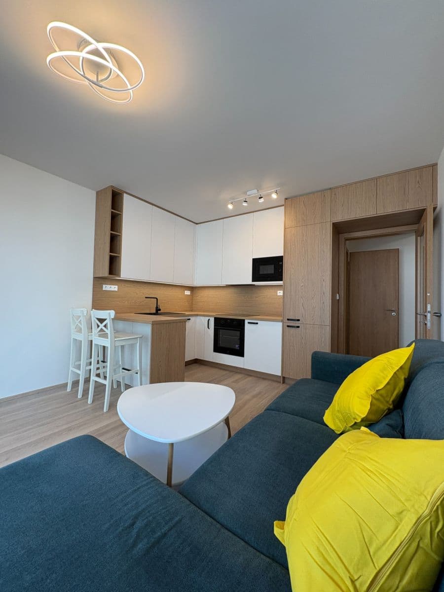 1 bedroom with open-plan kitchen flat to rent, 43 m², Čakovická, Prague, Prague 1 bedroom with open-plan kitchen flat to rent, 43 m², Čakovická, Prague, Prague