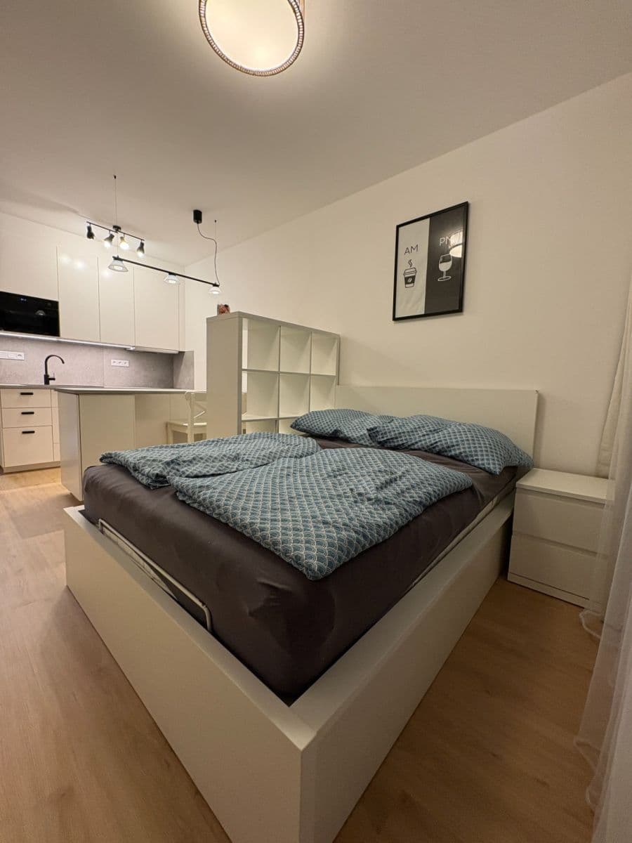 Studio flat to rent, 31 m², Železná, Plzeň, Plzeňský Region Studio flat to rent, 31 m², Železná, Plzeň, Plzeňský Region