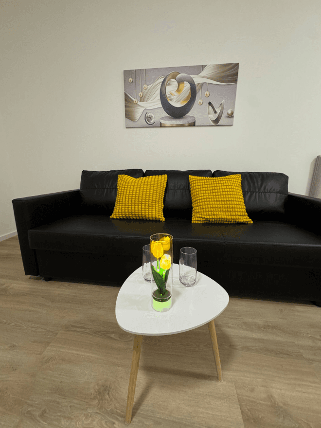 1 bedroom with open-plan kitchen flat to rent, 45 m², Ocelářská, Prague, Prague 1 bedroom with open-plan kitchen flat to rent, 45 m², Ocelářská, Prague, Prague