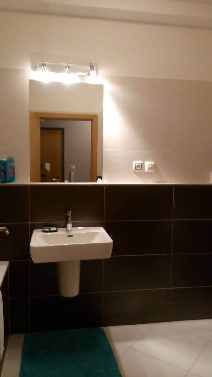 1 bedroom with open-plan kitchen flat for sale, 53 m², Mrkosova, Prague, Prague 1 bedroom with open-plan kitchen flat for sale, 53 m², Mrkosova, Prague, Prague