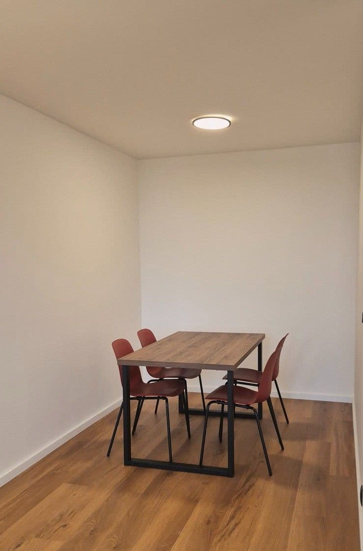 1 bedroom with open-plan kitchen flat to rent, 41 m², Bohumínská, Prague, Prague 1 bedroom with open-plan kitchen flat to rent, 41 m², Bohumínská, Prague, Prague