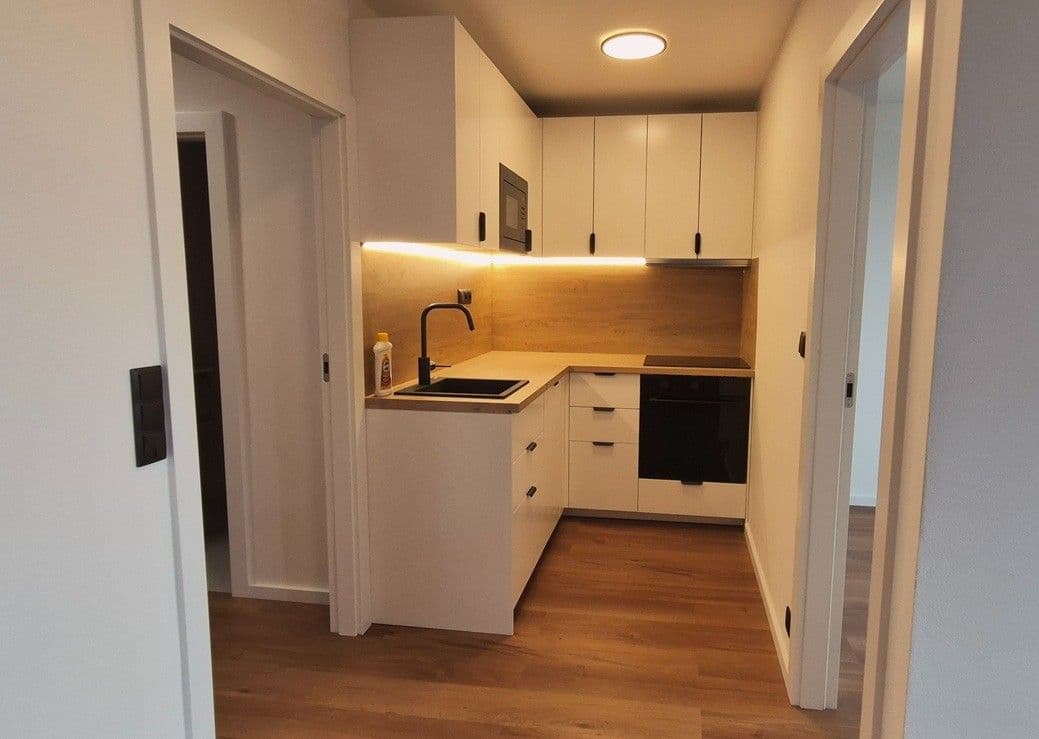 1 bedroom with open-plan kitchen flat to rent, 41 m², Bohumínská, Prague, Prague 1 bedroom with open-plan kitchen flat to rent, 41 m², Bohumínská, Prague, Prague