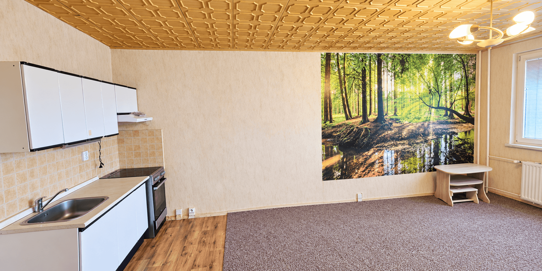 Studio flat for sale, 34 m², F. S. Tůmy, Orlová, Moravskoslezský Region Studio flat for sale, 34 m², F. S. Tůmy, Orlová, Moravskoslezský Region