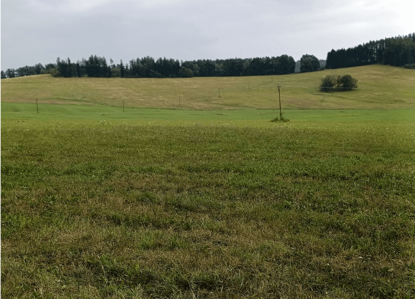 plot for sale, 6,999 m², Malšín, Jihočeský Region plot for sale, 6,999 m², Malšín, Jihočeský Region