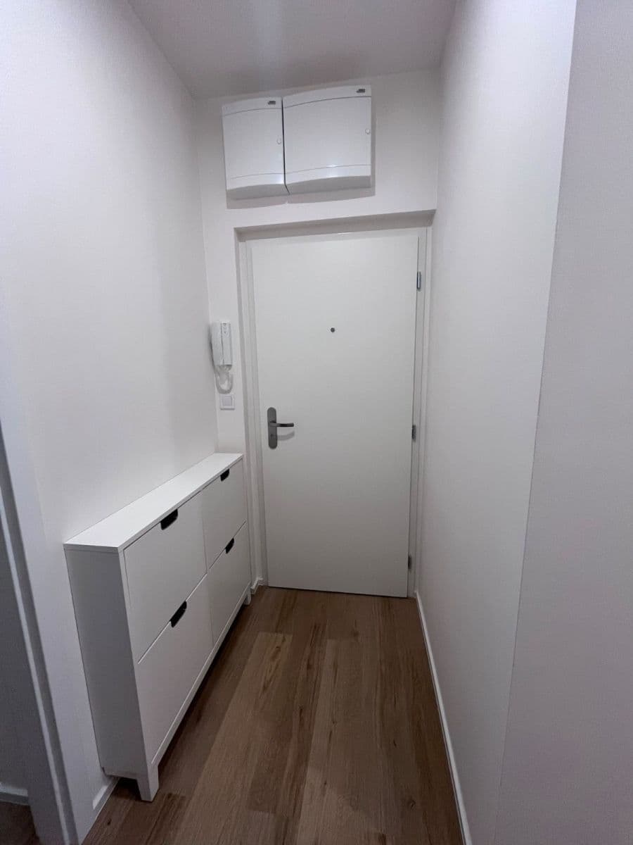 1 bedroom with open-plan kitchen flat to rent, 42 m², Musílkova, Prague, Prague 1 bedroom with open-plan kitchen flat to rent, 42 m², Musílkova, Prague, Prague