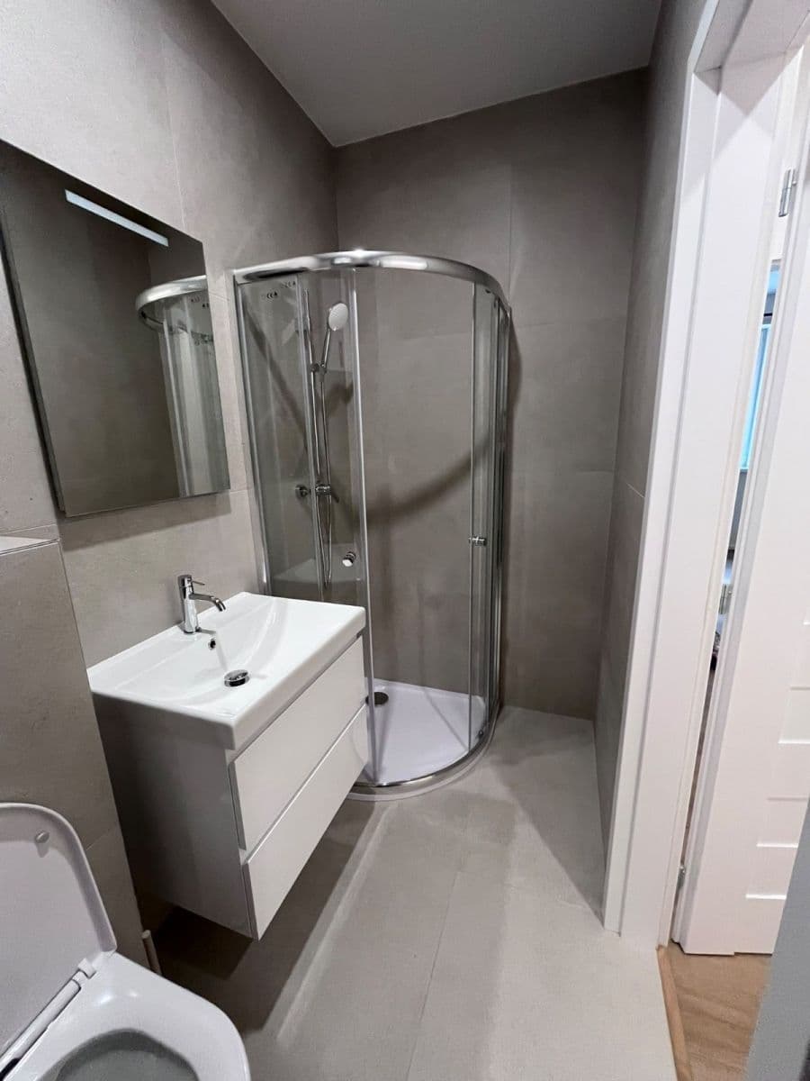 1 bedroom with open-plan kitchen flat to rent, 42 m², Musílkova, Prague, Prague 1 bedroom with open-plan kitchen flat to rent, 42 m², Musílkova, Prague, Prague