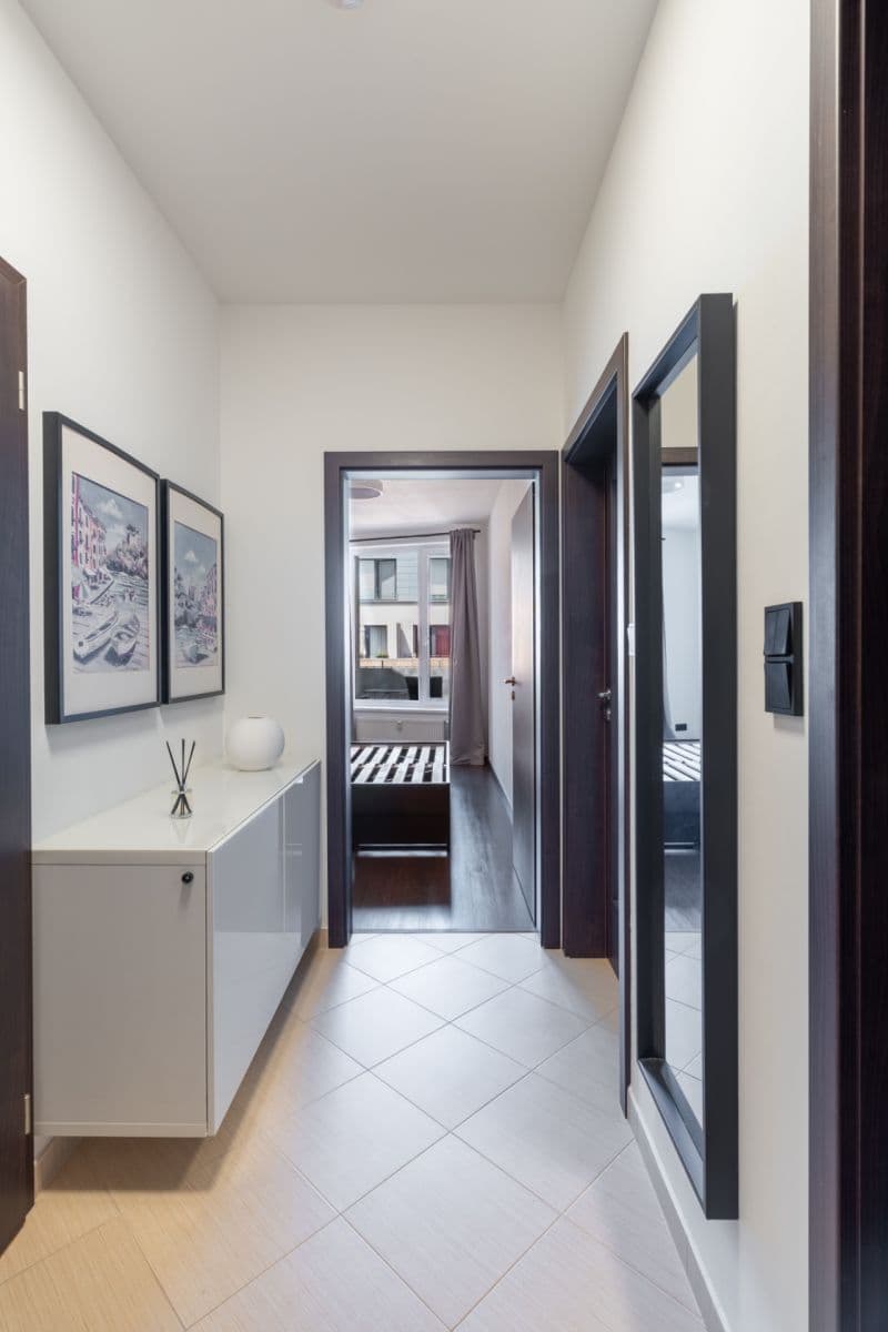 1 bedroom with open-plan kitchen flat for sale, 56 m², Makedonská, Prague, Prague 1 bedroom with open-plan kitchen flat for sale, 56 m², Makedonská, Prague, Prague