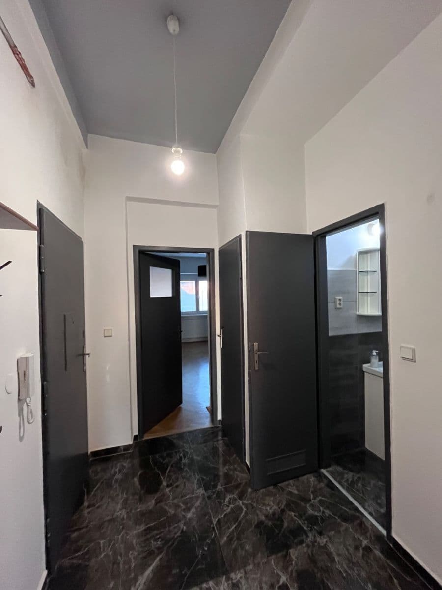 1 bedroom with open-plan kitchen flat to rent, 59 m², Chelčického, Plzeň, Plzeňský Region 1 bedroom with open-plan kitchen flat to rent, 59 m², Chelčického, Plzeň, Plzeňský Region