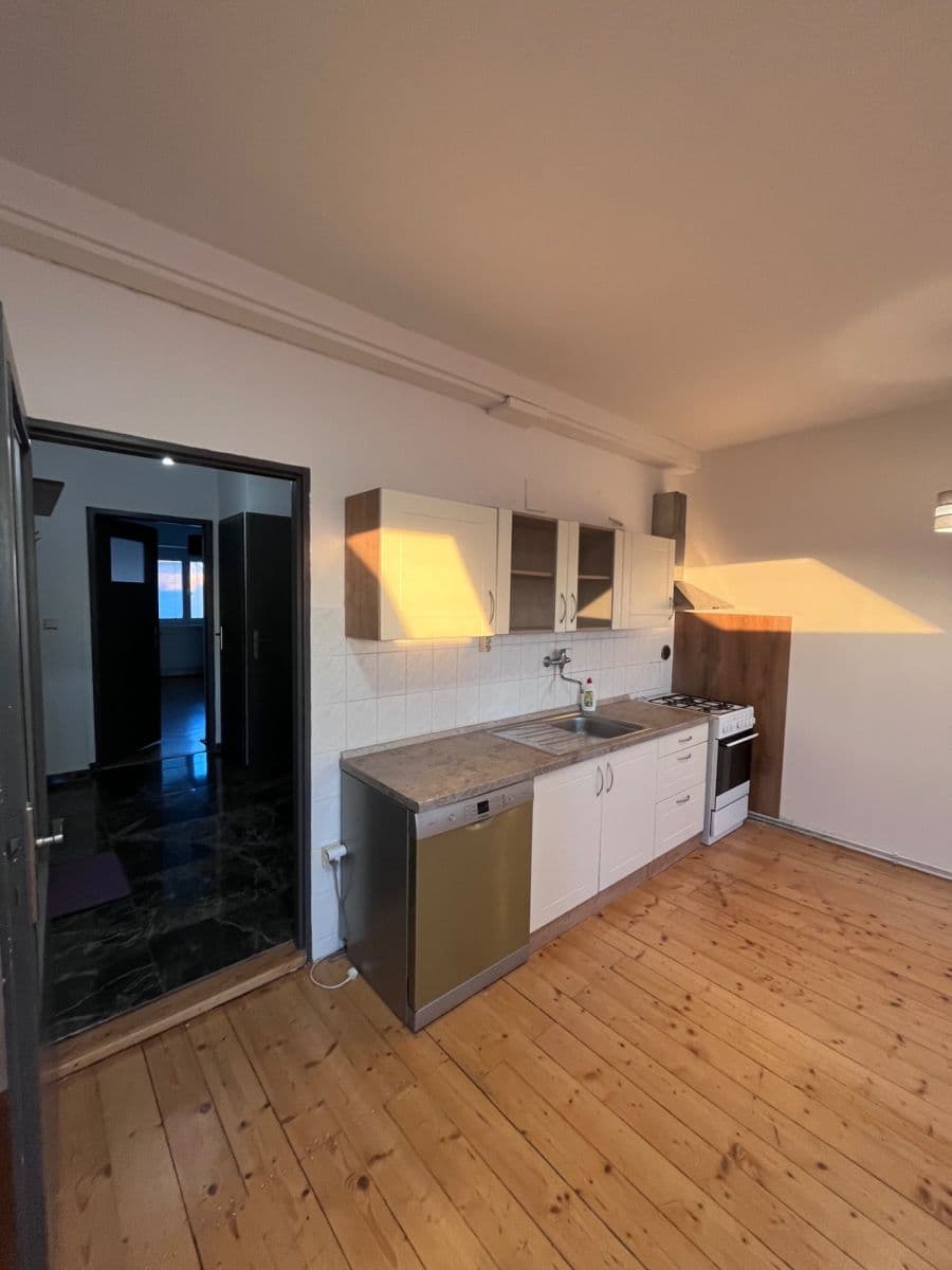 1 bedroom with open-plan kitchen flat to rent, 59 m², Chelčického, Plzeň, Plzeňský Region 1 bedroom with open-plan kitchen flat to rent, 59 m², Chelčického, Plzeň, Plzeňský Region