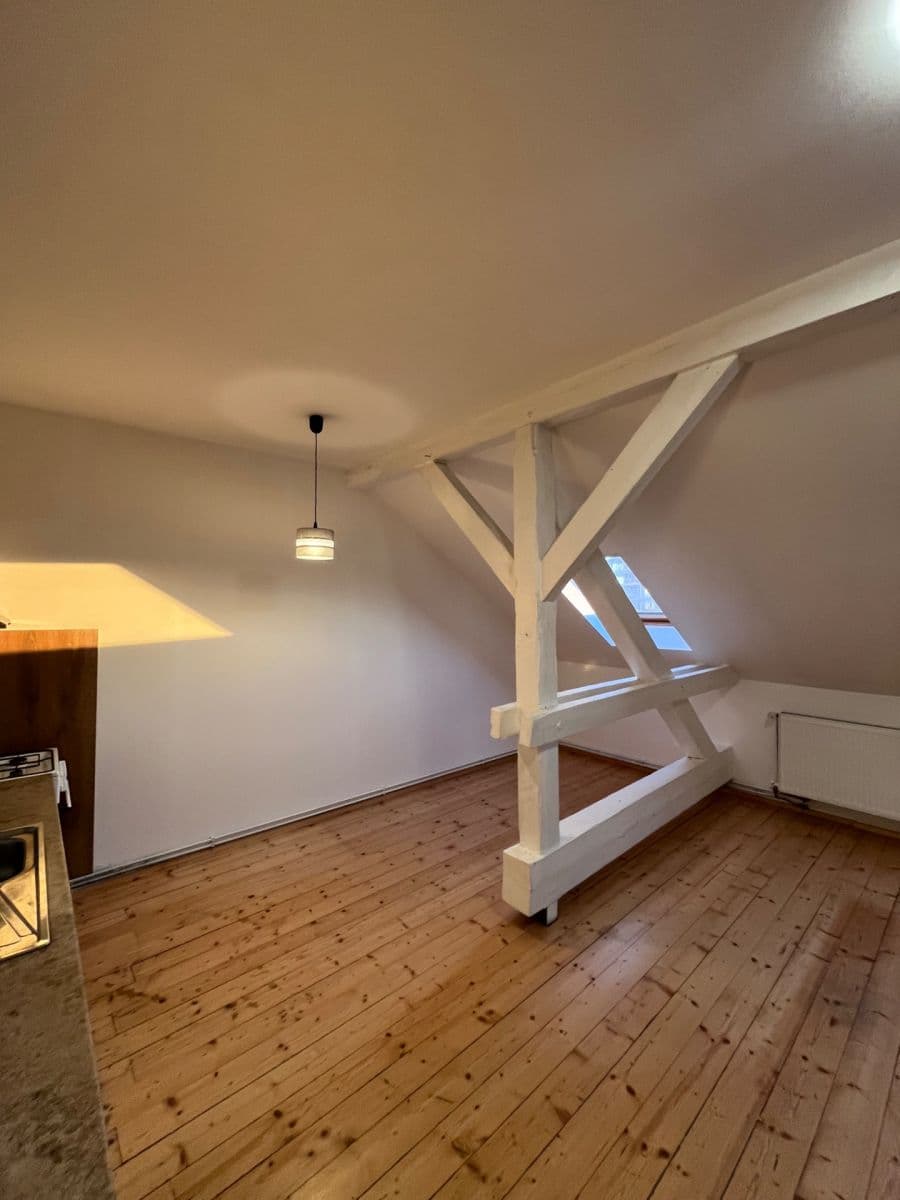 1 bedroom with open-plan kitchen flat to rent, 59 m², Chelčického, Plzeň, Plzeňský Region 1 bedroom with open-plan kitchen flat to rent, 59 m², Chelčického, Plzeň, Plzeňský Region
