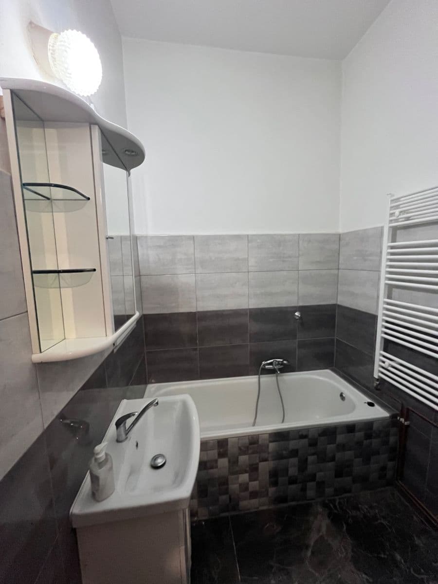 1 bedroom with open-plan kitchen flat to rent, 59 m², Chelčického, Plzeň, Plzeňský Region 1 bedroom with open-plan kitchen flat to rent, 59 m², Chelčického, Plzeň, Plzeňský Region