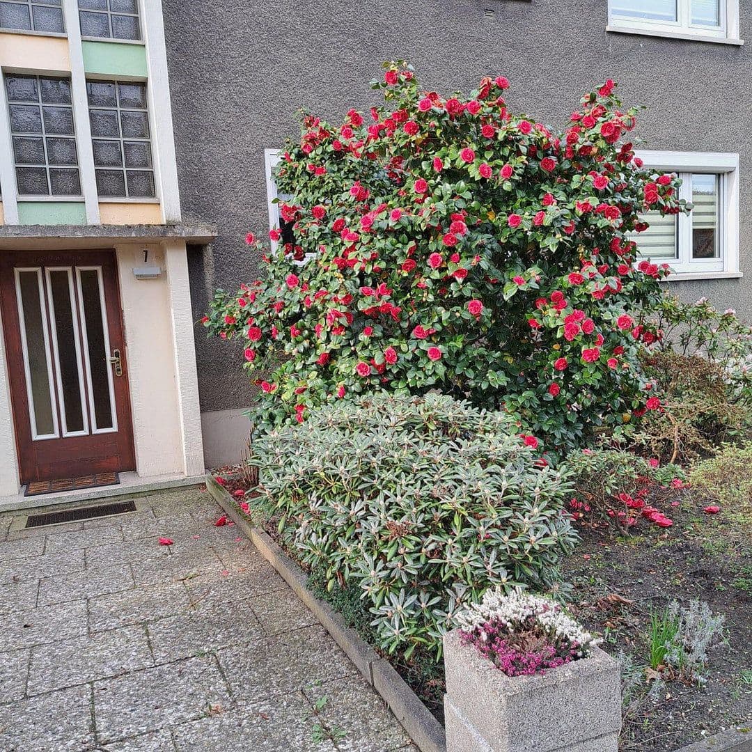 3 bedroom flat to rent, 53 m², Bottrop, North Rhine-Westphalia 3 bedroom flat to rent, 53 m², Bottrop, North Rhine-Westphalia