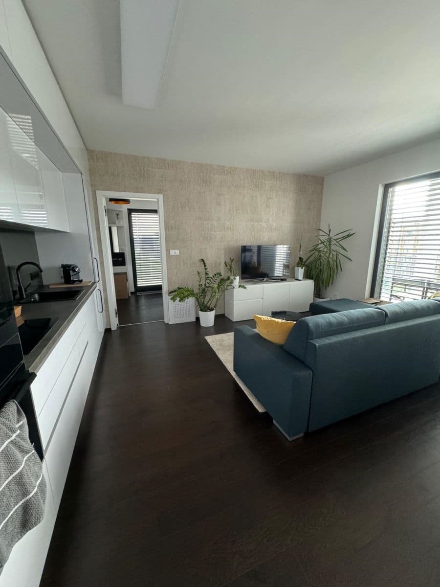 1 bedroom with open-plan kitchen flat to rent, 56 m², Sokolova, Prague, Prague 1 bedroom with open-plan kitchen flat to rent, 56 m², Sokolova, Prague, Prague