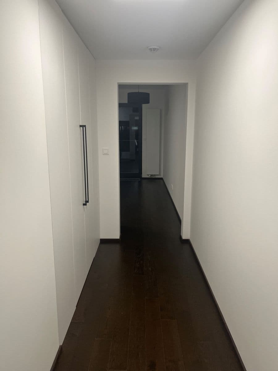1 bedroom with open-plan kitchen flat to rent, 56 m², Sokolova, Prague, Prague 1 bedroom with open-plan kitchen flat to rent, 56 m², Sokolova, Prague, Prague