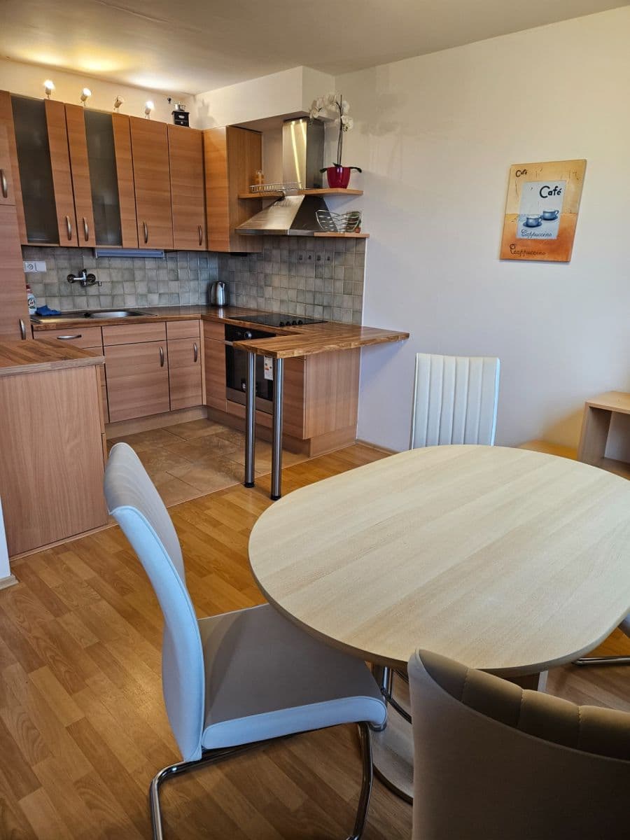 2 bedroom with open-plan kitchen flat to rent, 66 m², Třebenická, Prague, Prague 2 bedroom with open-plan kitchen flat to rent, 66 m², Třebenická, Prague, Prague