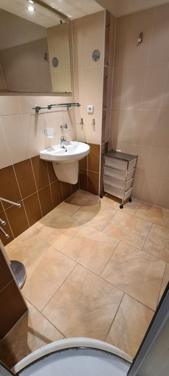 2 bedroom with open-plan kitchen flat to rent, 66 m², Třebenická, Prague, Prague 2 bedroom with open-plan kitchen flat to rent, 66 m², Třebenická, Prague, Prague
