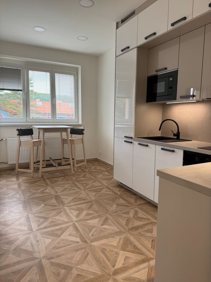 1 bedroom with open-plan kitchen flat for sale, 42 m², Čihákova, Prague, Prague 1 bedroom with open-plan kitchen flat for sale, 42 m², Čihákova, Prague, Prague