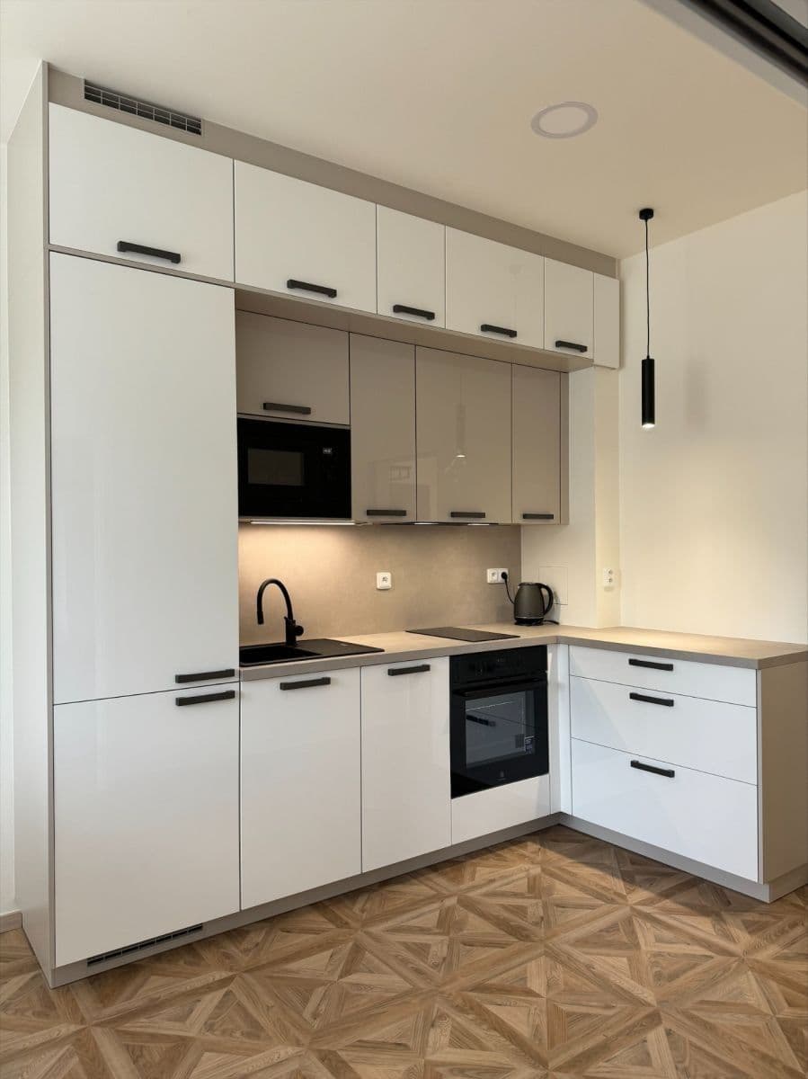 1 bedroom with open-plan kitchen flat for sale, 42 m², Čihákova, Prague, Prague 1 bedroom with open-plan kitchen flat for sale, 42 m², Čihákova, Prague, Prague