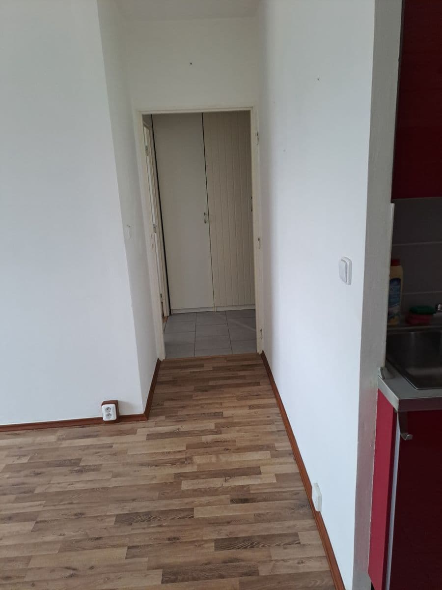 1 bedroom with open-plan kitchen flat for sale, 43 m², K Dolům, Prague, Prague 1 bedroom with open-plan kitchen flat for sale, 43 m², K Dolům, Prague, Prague