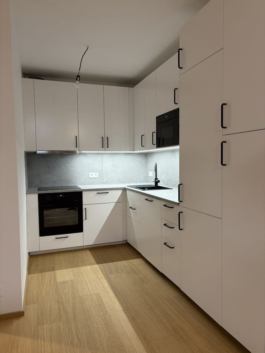 1 bedroom with open-plan kitchen flat to rent, 53 m², Za Pískovnou, Prague, Prague 1 bedroom with open-plan kitchen flat to rent, 53 m², Za Pískovnou, Prague, Prague